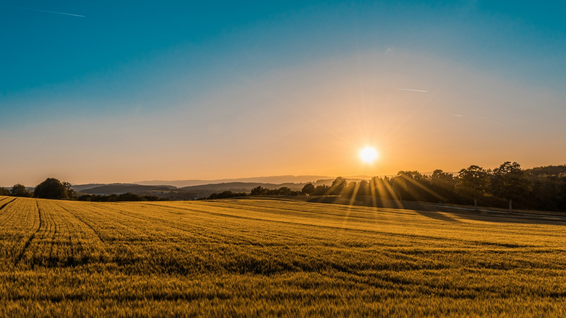 Federico Respini SYffw0LNr7s Unsplash